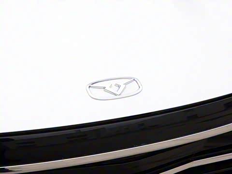 2020�� 1.5L �ֶ���