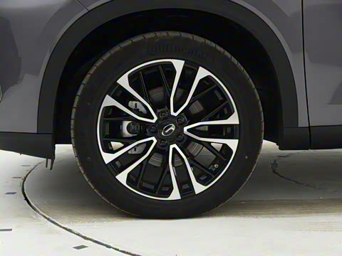 2021�� 390T �Զ����ư�