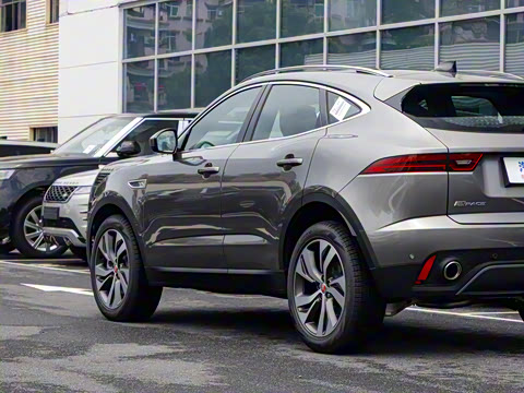 2024�� ��ȡ�˶��� R-DYNAMIC S