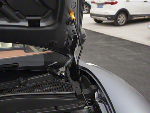 2025�� 430km ������