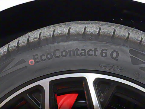 2025�� ���� 230Pro�캽��