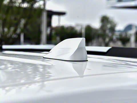 2025�� 2.0T 4WD Pro