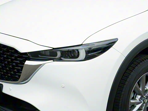 2025�� 2.0L �Զ�����������