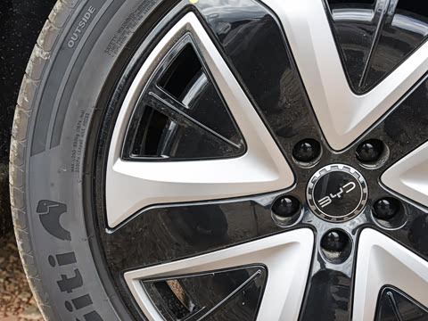 2025�� 135 �����ܼ����״��