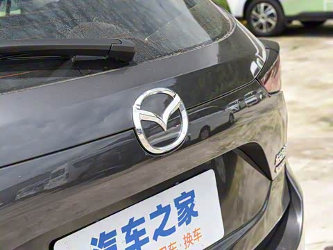 2025�� 2.0L �Զ���������Pro