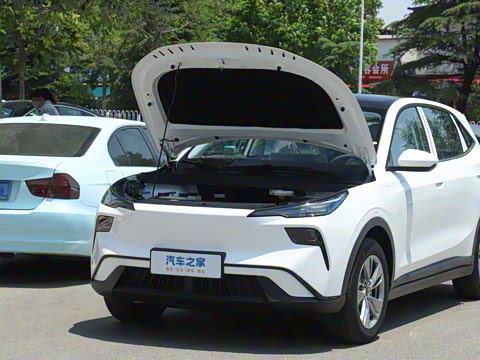 2025�� 445km ��ѡ��