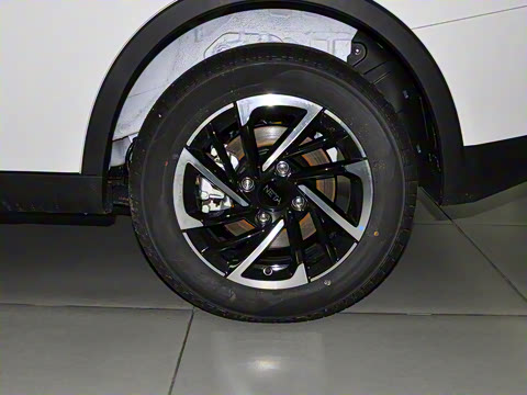 2021�� ���������ְ�������