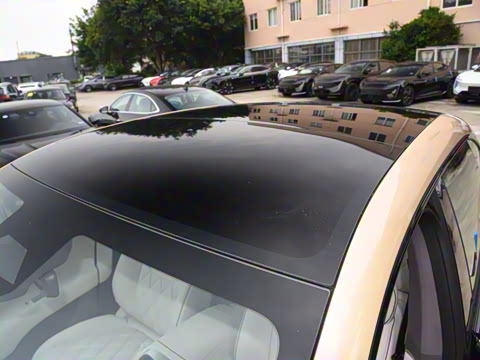 2025�� Max �����