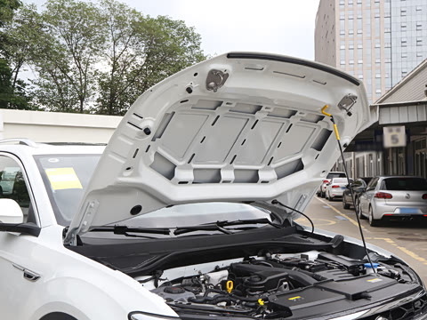 2025�� �Ŀ�� 300TSI DSG���������