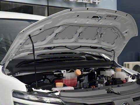 2025�� 110km���� ������7��