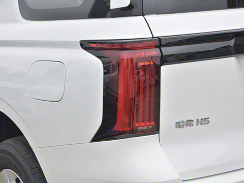 2023�� 2.0T�Զ������촴 ����