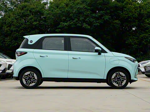 2025�� 305km ������