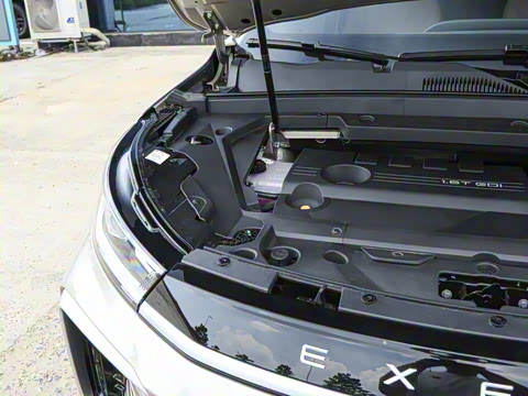 2025�� 300T ������ҹ��