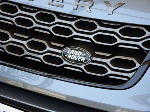 2021�� P300e ���ܿƼ���