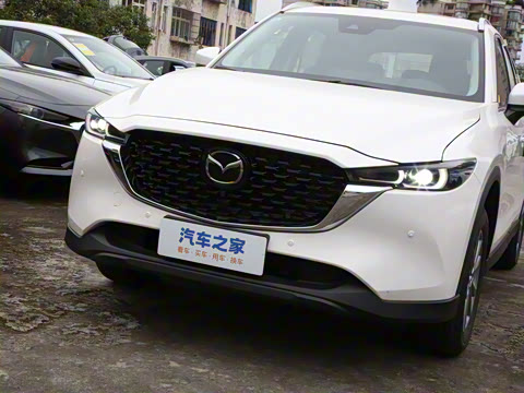 2024�� 2.0L �Զ���������Pro