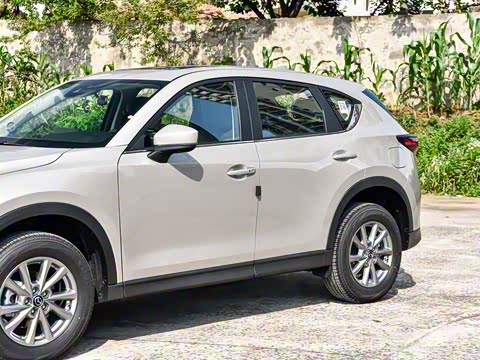 2025�� 2.0L �Զ���������Pro