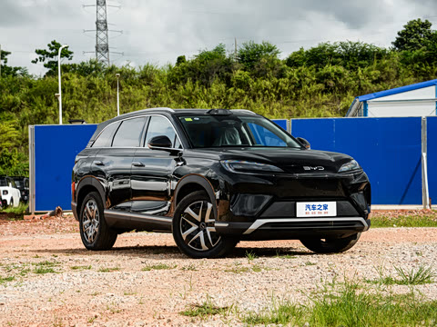 2025�� 135 �����ܼ����״��