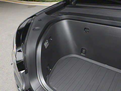 2025�� Max ������