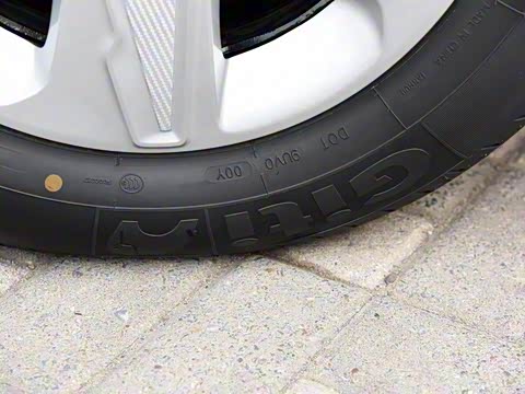 2019�� 320 �ֶ�������