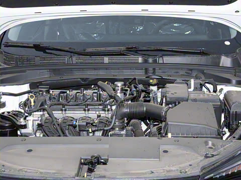 2025�� PLUS 1.5L �ֶ�������