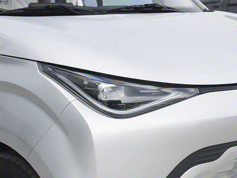 2025�� 305km ������