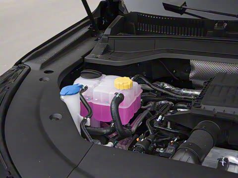 2025�� 120 �������������� 7�� �������