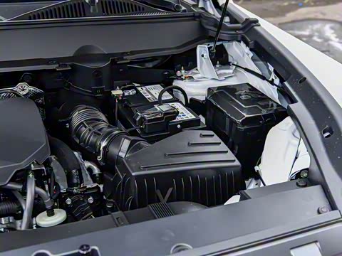 2025�� 2.0T 4WD Pro