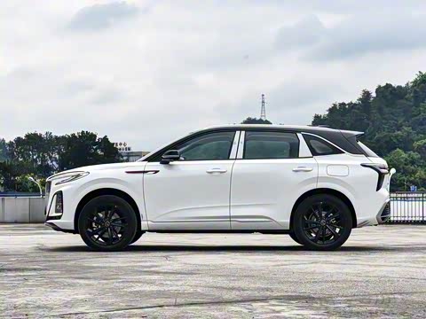 2025�� 117km ��ΪPLUS��