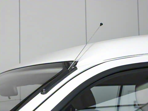 2025�� ���̰� ������ 7��