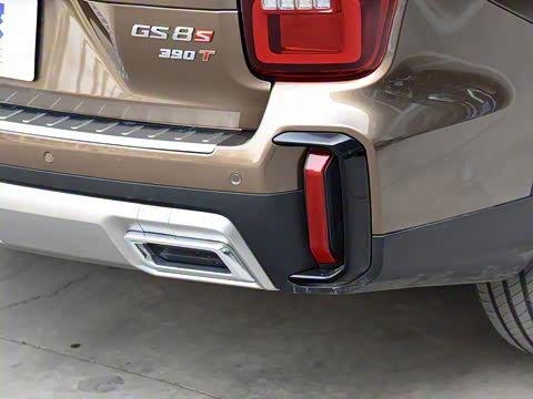 2020�� GS8S 390T ��������������