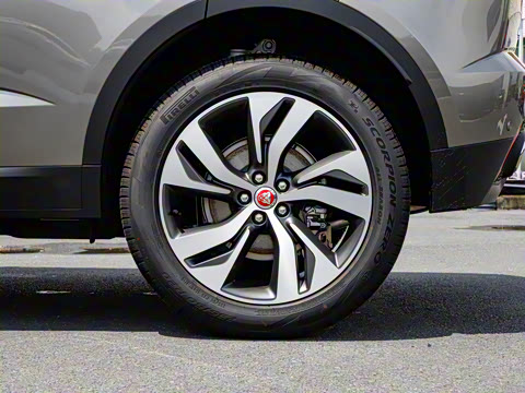 2024�� ��ȡ�˶��� R-DYNAMIC S