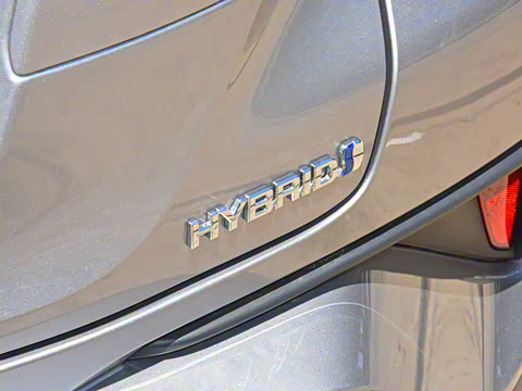 2021�� ˫�� 2.0L ������