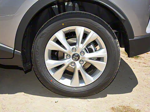 2021�� ˫�� 2.0L ������