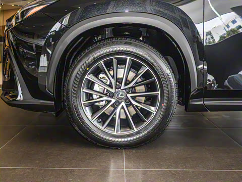 2025�� 260 ǰ�� �ر��