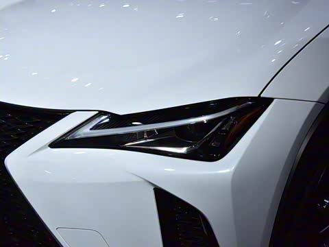 2019�� 260h F SPORT�� ��VI