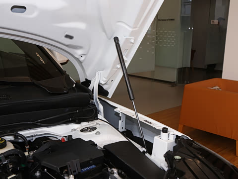 2026�� B3 ��Զ������