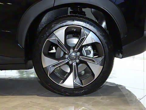 2020�� 80 �����Ƽ���