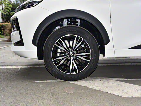 2021�� 300T DCT���������