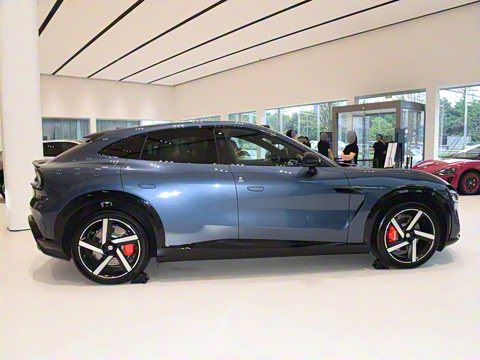 2025�� ������������������Max��