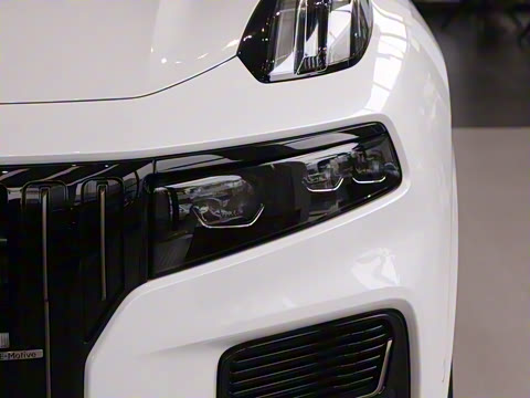 2025�� 2.0TD EM-P ����Max ����