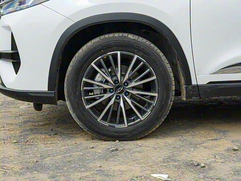 2024�� �ھ��� 290T ������ҫ�� 5��