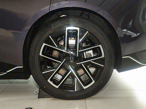 2025�� Max�����