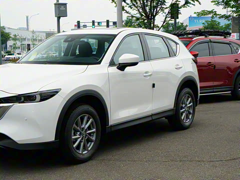 2025�� 2.0L �Զ���������Pro