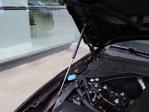 2021�� XFL 2.0T P250 �����׺��˶���