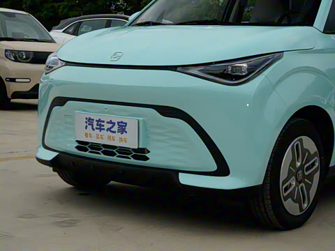 2025�� 305km ������