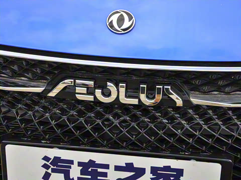 2021�� 230T �Զ�׷�°�