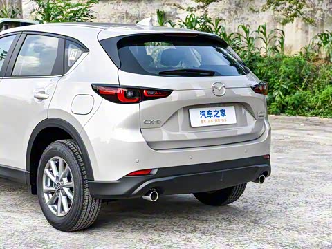 2025�� 2.0L �Զ���������Pro