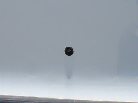 2025�� 445km ���ð�