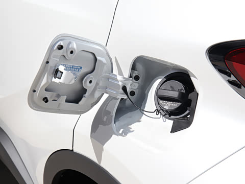 2021�� ˫�� 2.0L ������