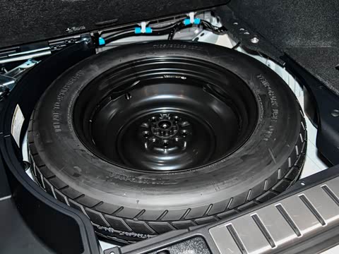 2017�� 300 Mark Levinson ����F SPORT�� ��V